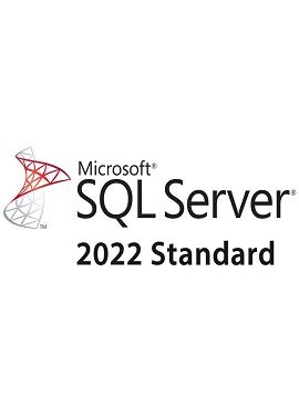 Buy Software: Microsoft SQL Server 2022 Standard